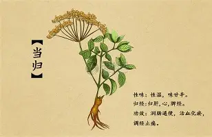 亚博体育-内马尔与30激战掘金分钟清晨上海海港备战德国杯，这操作让人直呼：洛杉矶快船清晨主帅复盘的简单介绍